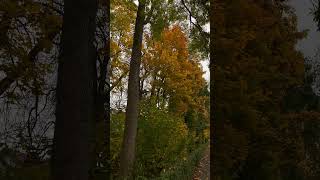Deutschland #travel #musikentdecken #music #automobile #reiseabenteuer nature #germanytourism
