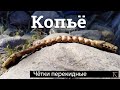 Четки перекидные &quot;Копьё&quot;