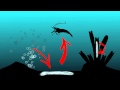 BEHIND THE SCIENCE 2012 | Chemosynthesis