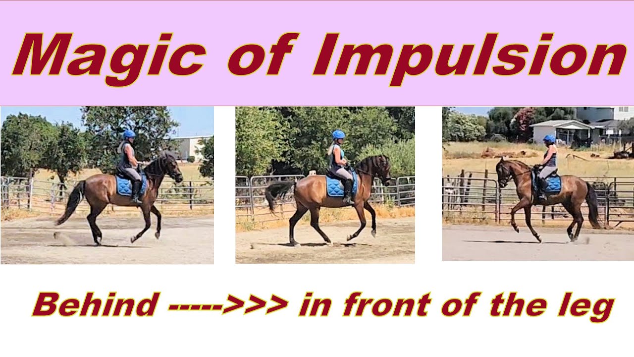 OREO's POWER - Forward VLOG 294 