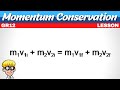 Conservation of Linear Momentum in Collisions and Its Implications