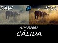 Tutorial de Edición: Fotografía de Naturaleza al Atardecer (Camera Raw y Photoshop)