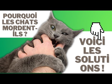 Vidéo: Pourquoi Les Chiots Et Les Chatons Ont-ils Besoin De Tant De Boosters ?