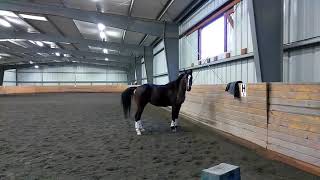 VID 20180102 154642Trim