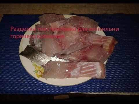 Разделка толстолобика для коптильни горячего копчения