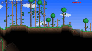 Terraria + Linux + MonoGame + Mono