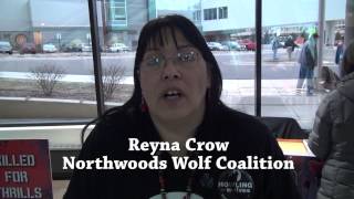 Howling For Wolves and Northwoods Wolf Coalition PSA