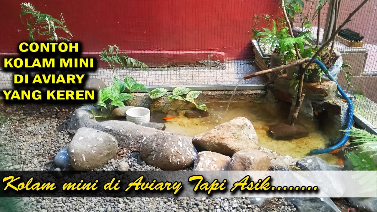 Berapa kedalaman kolam di Aviary Minimalis sederhana indor