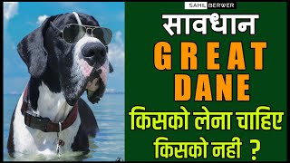 Great Dane Buy Or Not || Great Dane Buy In India || Great Dane Price In India || Sahil Berwer