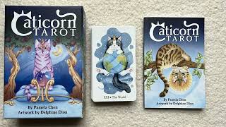 Caticorn Tarot 🐱🦄 FULL Flip Through