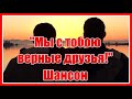 &quot;Мы с тобою верные друзья!&quot; Красивая песня о дружбе в исполнении Миши Мирного и Андрея Вологодского.