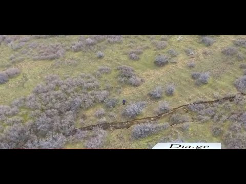 ახალი ამბების ვიდეოკოლაჟი - ტელეკომპანია \"დია\" 18 მარტი