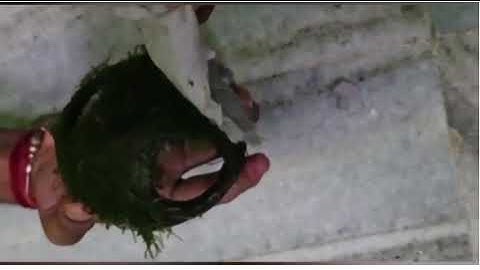 Unboxing of java moss on coconut shell by bunnycart (ordered from flipkart)