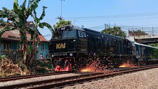 Momen Berburu CC 206 13 76 CPN Livery Special The Nusantara Explorer Kereta Api Indonesia ⚡🚂