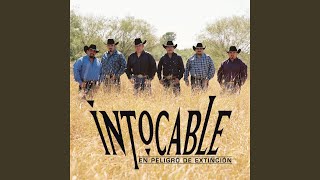 Vignette de la vidéo "Intocable - Nos Falto Hablar"