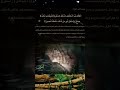 سورة الإسراء الآية 80