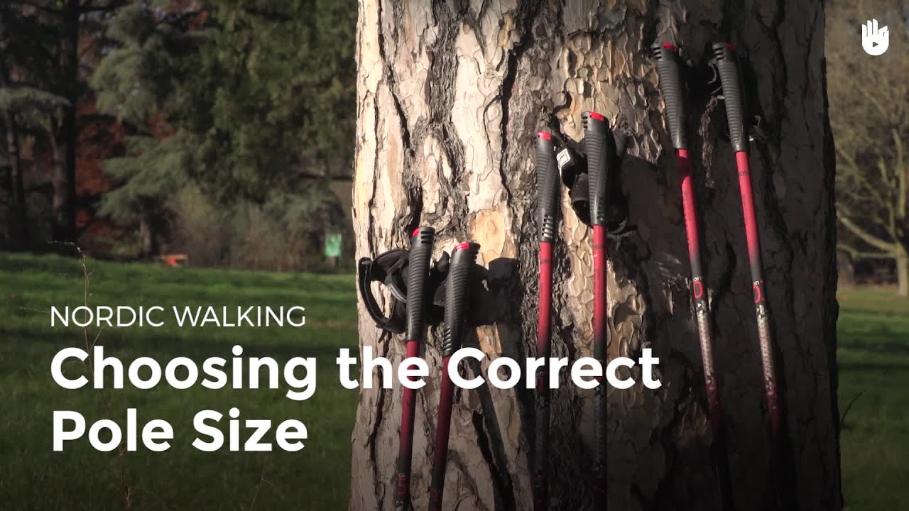 Choosing the Correct Pole Size | Nordic Walking