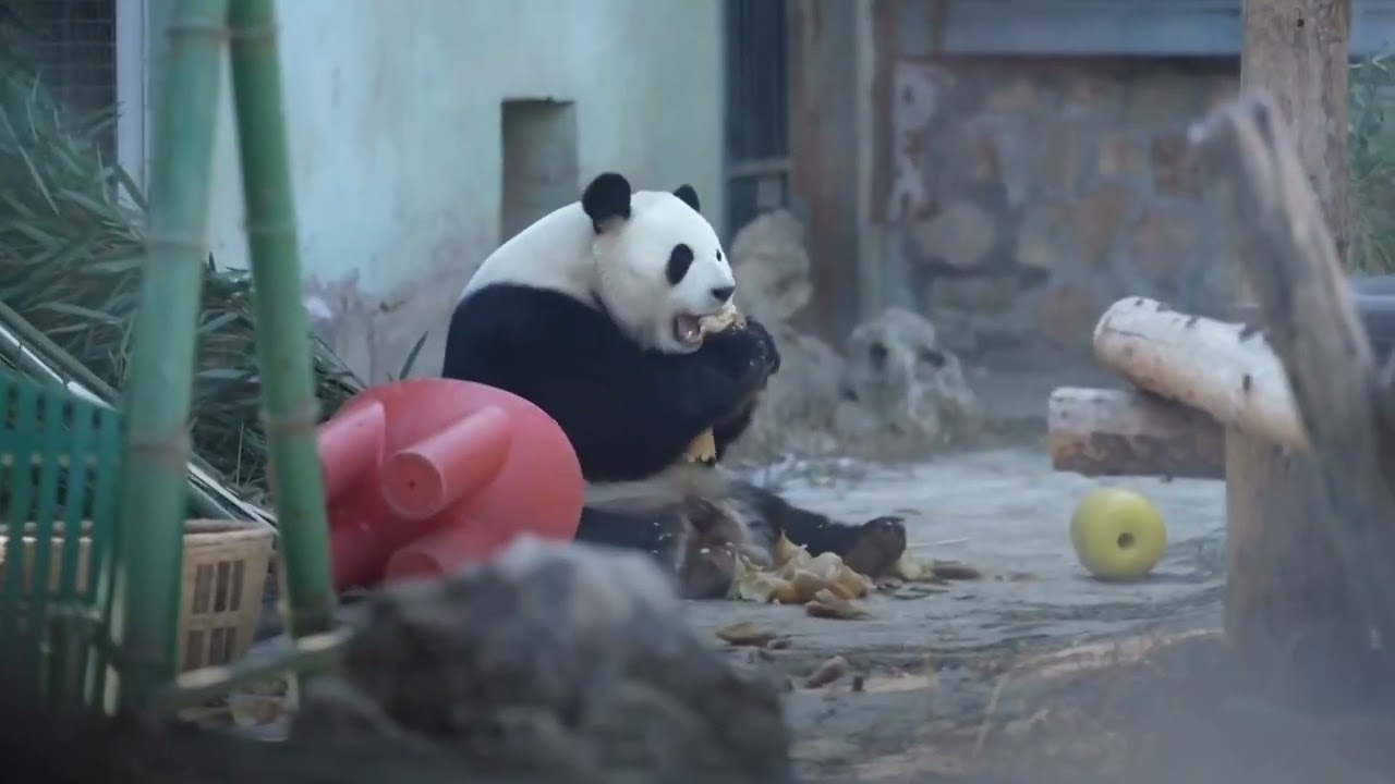 Порно көздер