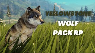 WOLF PACK HUNTING RP   Yellowstone Unleashed Roblox