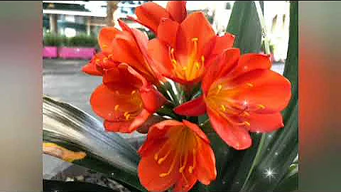 MDeeKay MIX(Soulful Deep House Vol 3)Senior Oat,CocoSA,KingTouch,Gigg cosco,Ottis Blake,Russell Zuma