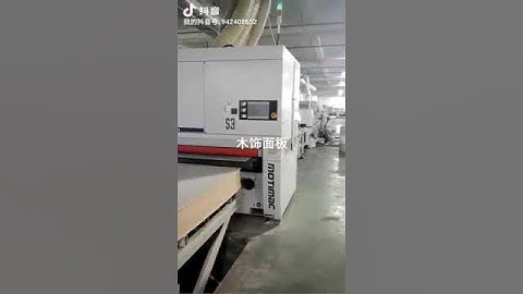 veneer sanding machine