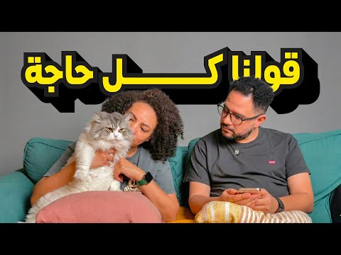 اليوم المفتوح جاوبنا على كل حاجة سألتوا عنها