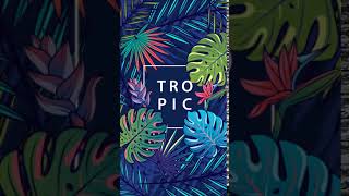 Tropical Summer Animated Theme