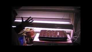 Build Your Own Grow Light Stand pt. 2 The one light fixture grow light stand just wasn