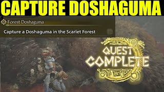 How to Capture a Doshaguma in the Scarlet Forest Monster Hunter Wild | Forest Doshaguma Quest Guide How to Capture a Doshaguma in the Scarlet Forest Monster Hunter Wild | Forest Doshaguma Quest Guide
