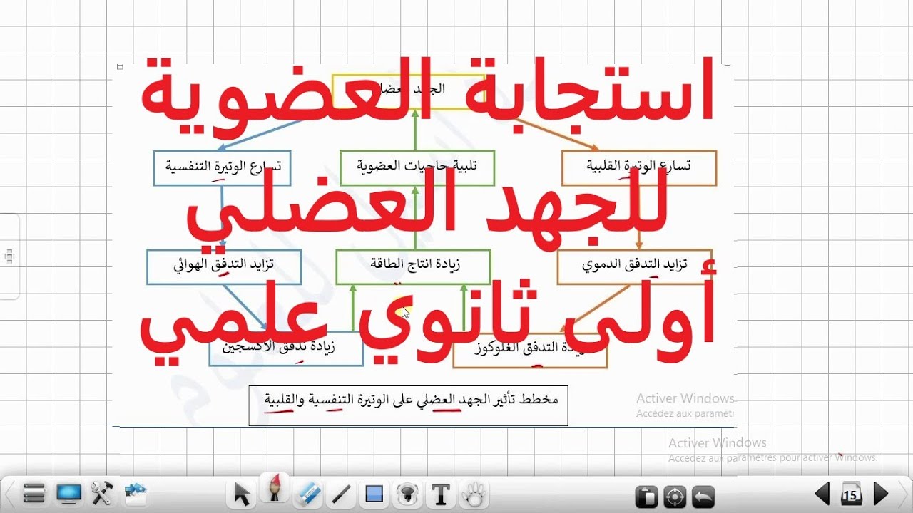 استجابة العضوية للجهد العضلي أولى ثانوي علمي