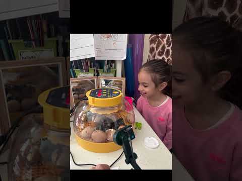 video preview image