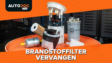 Hoe u het brandstoffilter kunt vervangen [HANDLEIDING AUTODOC]