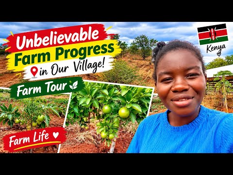 Unbelievable Farm Progress in Our Village! 🌱 | Farm Tour & Village Life in Kenya