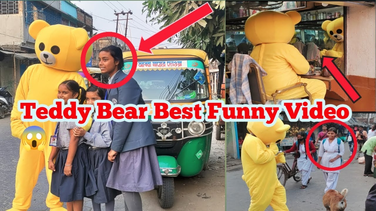 2022 Best Teddy Bear Funny Video 😱😂|| Crezy Reaction 🔥😂|| sd teddy funn 🐻