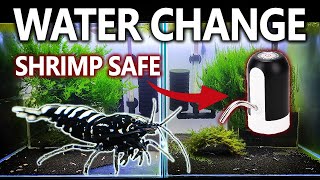 Shrimp Tank Water Change  My Tips and Tricks