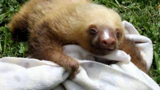 GAME 1: Poop Off Challenge screenshot 1