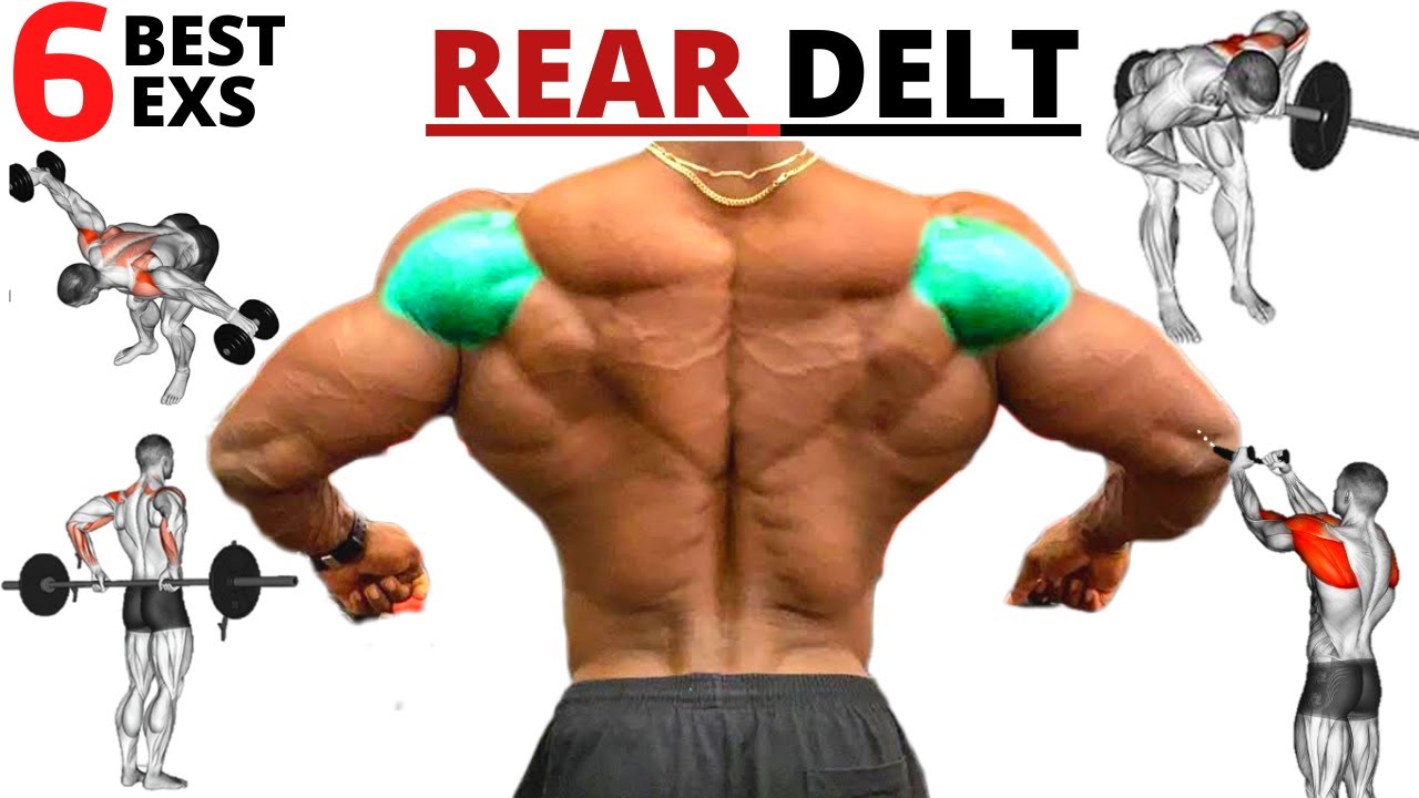 6 BEST REAR SHOULDERS WORKOUT WITH BARBELL DUMBELLS AND CABLE YouTube