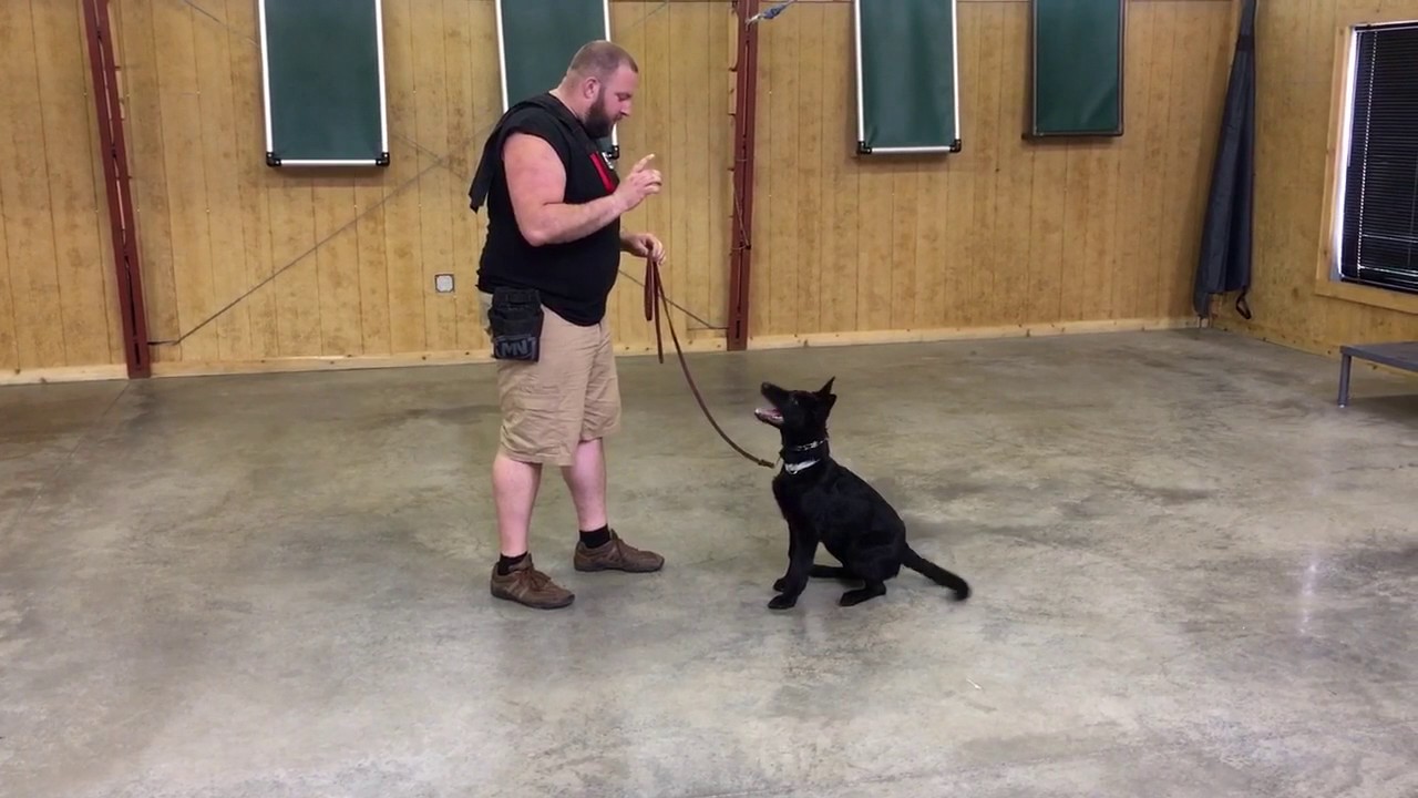 video phone beyonce mp3 Check This Girl Out