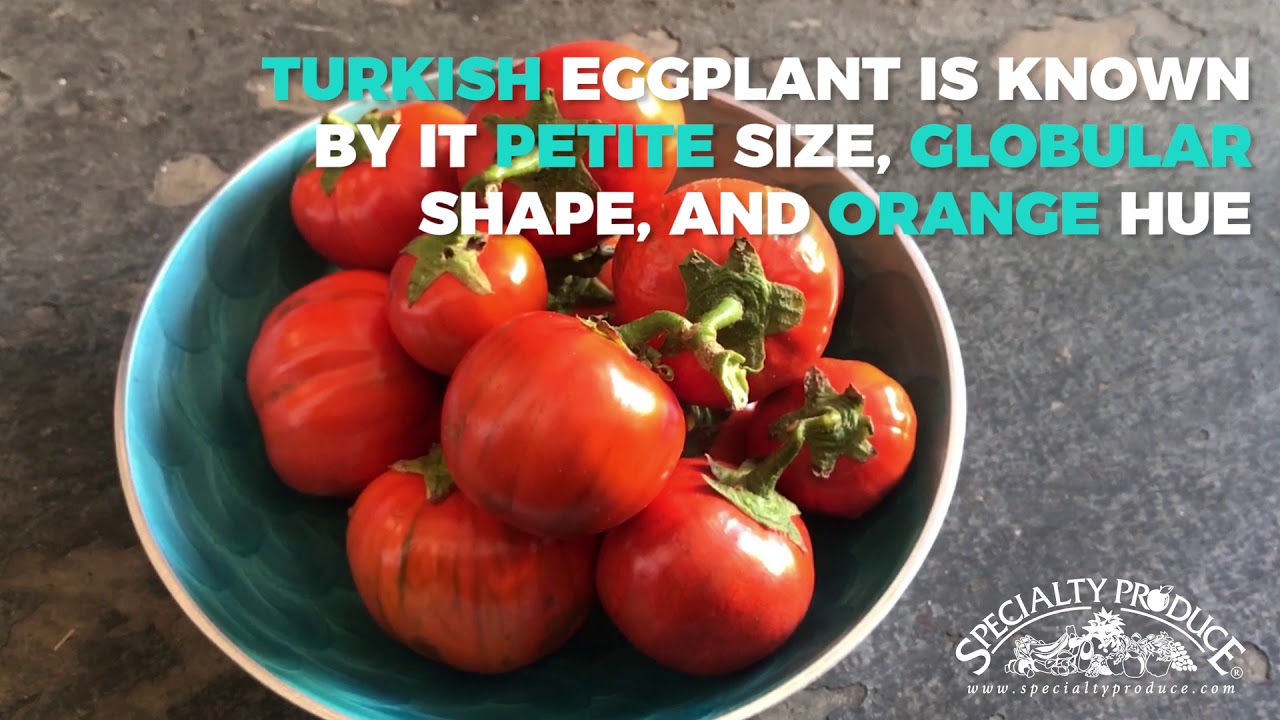 Learn the Health Benefits of Turkish Eggplant