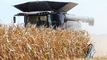 Fendt Ideal 8T & 9T Combines in the Field During Corn Harvest 2025
