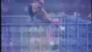 Bret Hart Custom Titantron