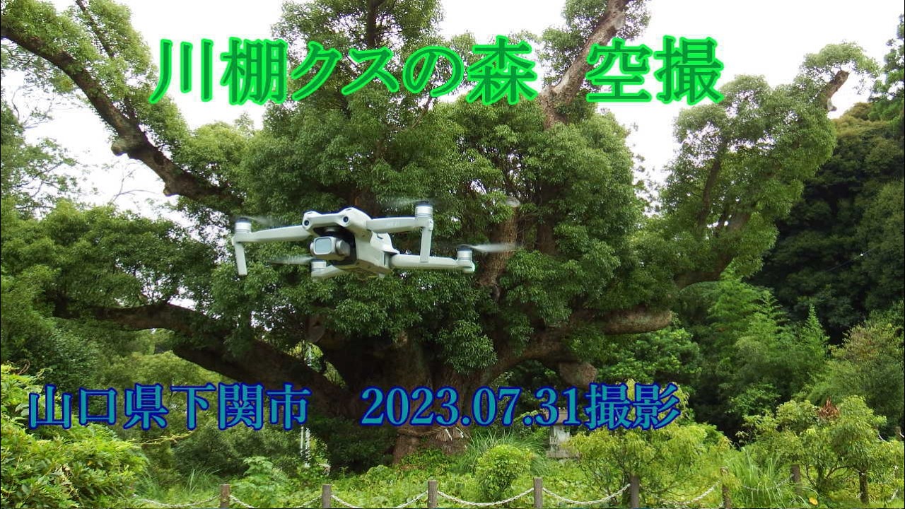 川棚クスの森　空撮　2023.07.31撮影