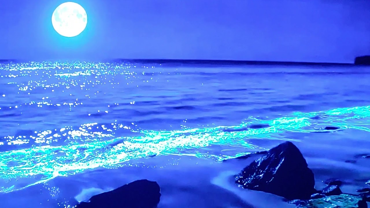 Zhao Peng / The moon represents my heart. NAD M10 preout. PSM poweramp. psb T3 speaker