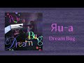 Dream BugЯu-a