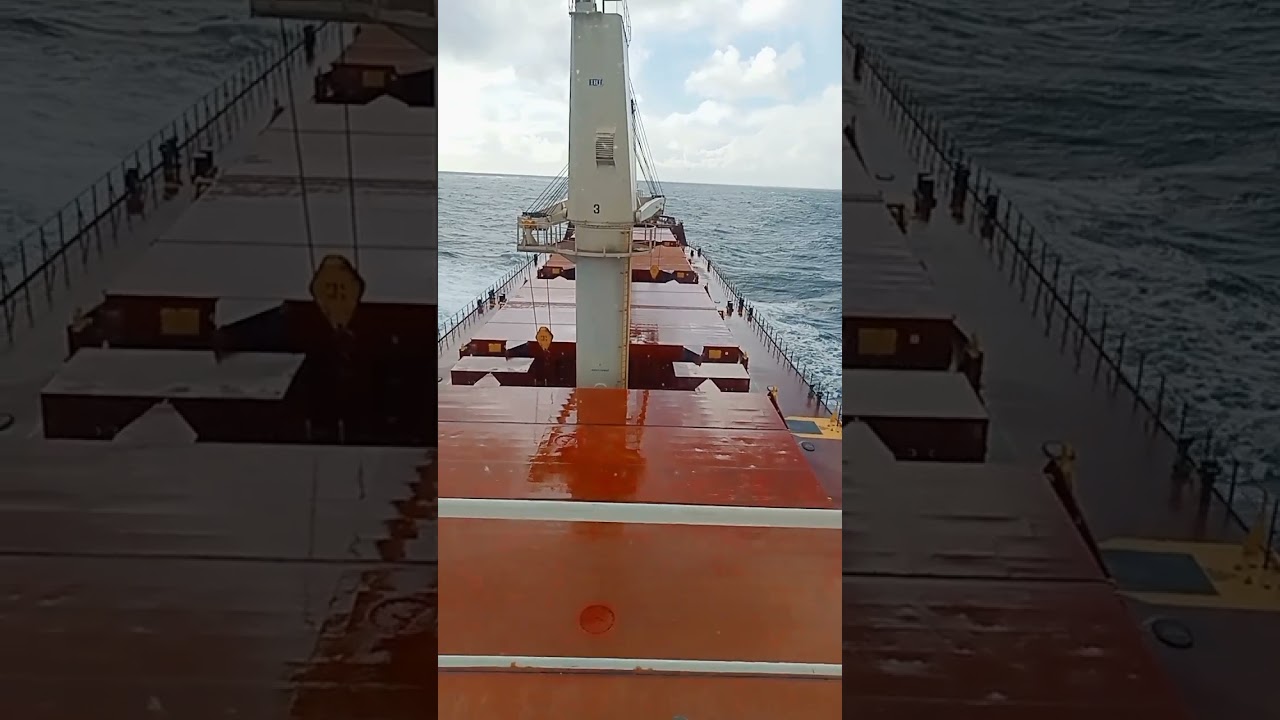 Main Engine Fuel Filter 