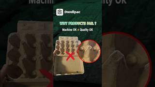 Why Your Pulp Molding Machine Runs Fine But Products Fail