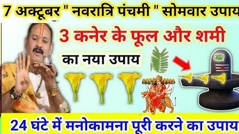 7 अक्टूबर नवरात्रि पंचमी सोमवार उपाय | कनेर के फूल और शमी का उपाय | pradeep mishra today upay