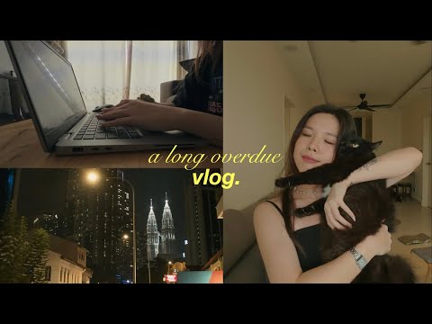 mini vlog 🫧 feat. saturday WFH, my 4 cat babies, and friends 💌 filmed on DJI osmo nano