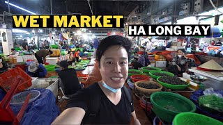 NON TOURIST SIDE OF HA LONG BAY VIETNAM | DAY CRUISE Travel Vlog by Nick and Helmi 5,564 views 1 year ago 11 minutes, 33 seconds