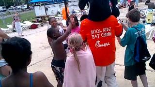 Cow at Heather Hills pool with YMCA VID-20130710-00000